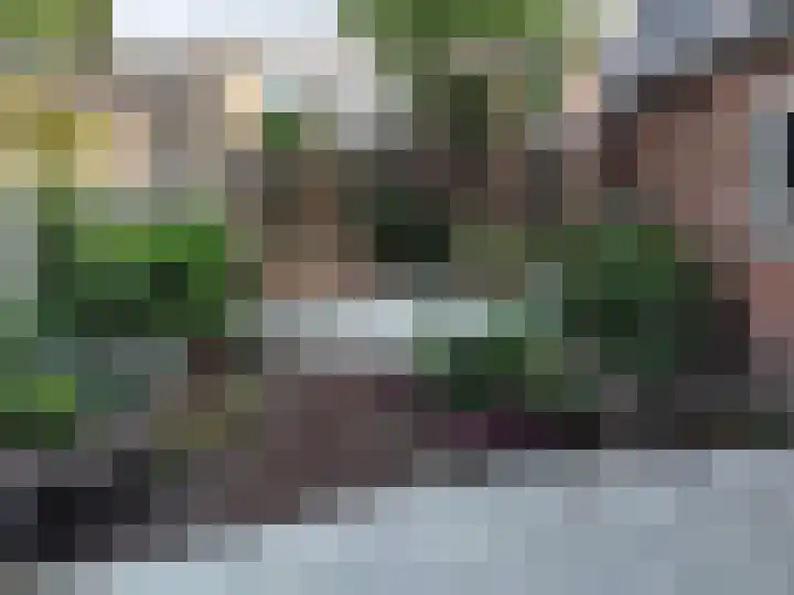 Raadhuisstraat 9 Druten thumbnail 39