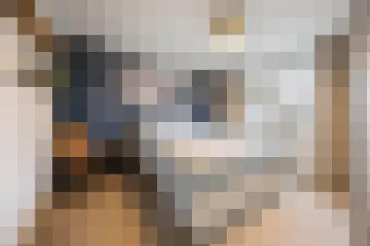 Raadhuisstraat 9 Druten thumbnail 4