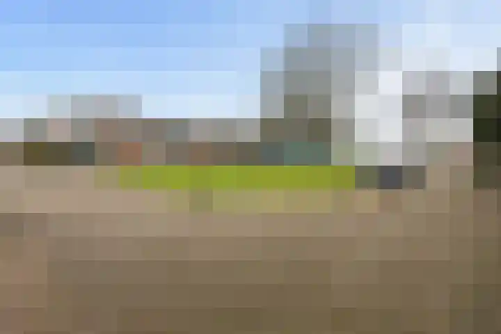 Raadhuisstraat 9 Druten thumbnail 44