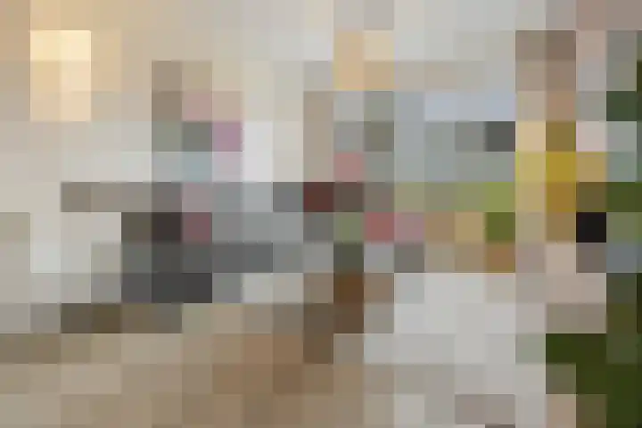 Raadhuisstraat 9 Druten thumbnail 5