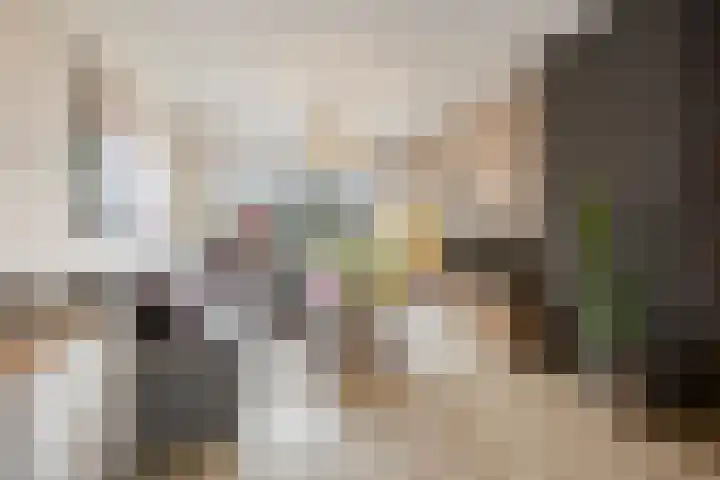 Raadhuisstraat 9 Druten thumbnail 6