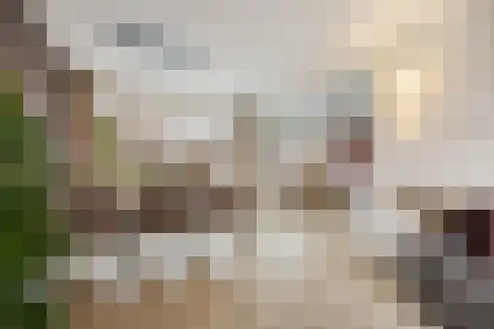 Raadhuisstraat 9 Druten thumbnail 9