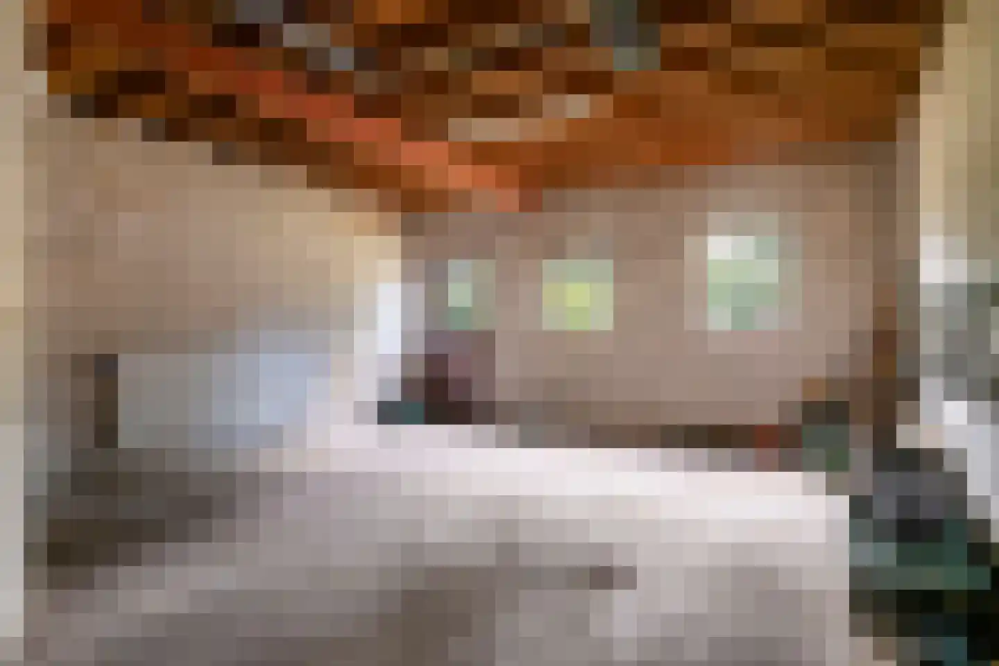 Raadhuisstraat 9 Geffen thumbnail 22