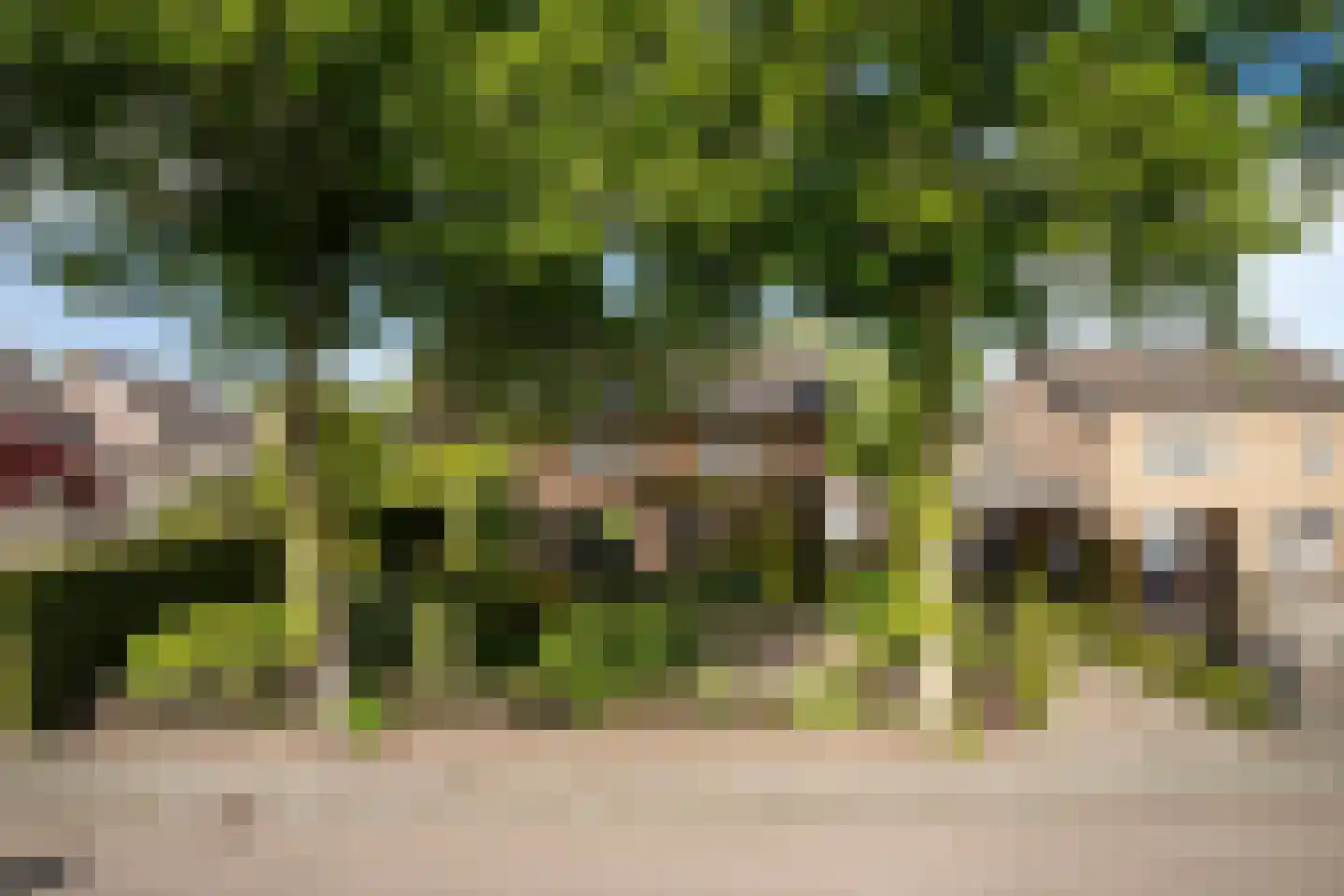 Raadhuisstraat 9 Geffen thumbnail 4