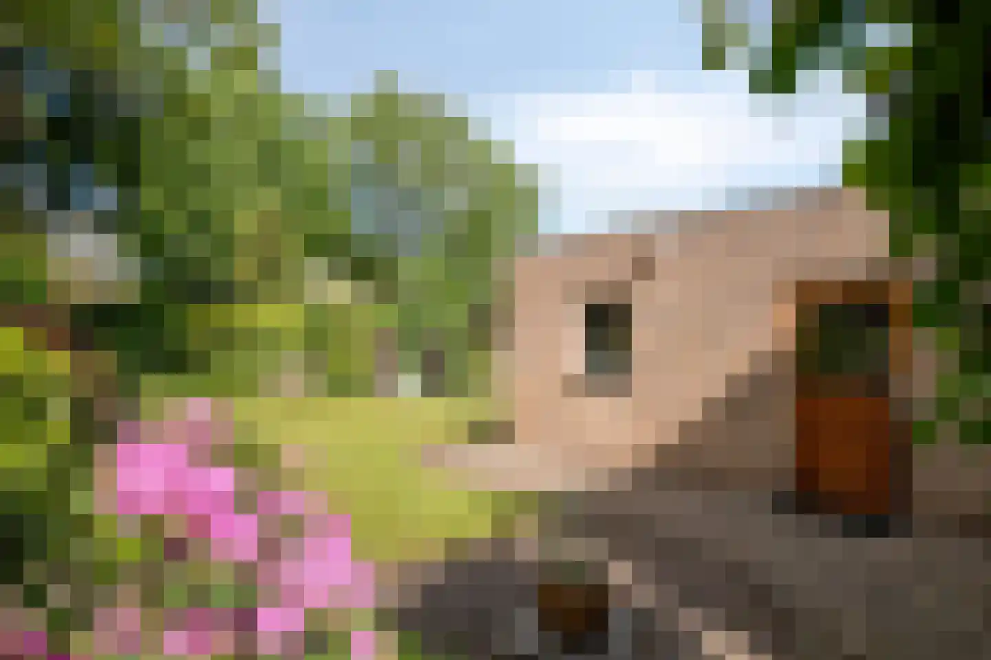 Raadhuisstraat 9 Geffen thumbnail 40