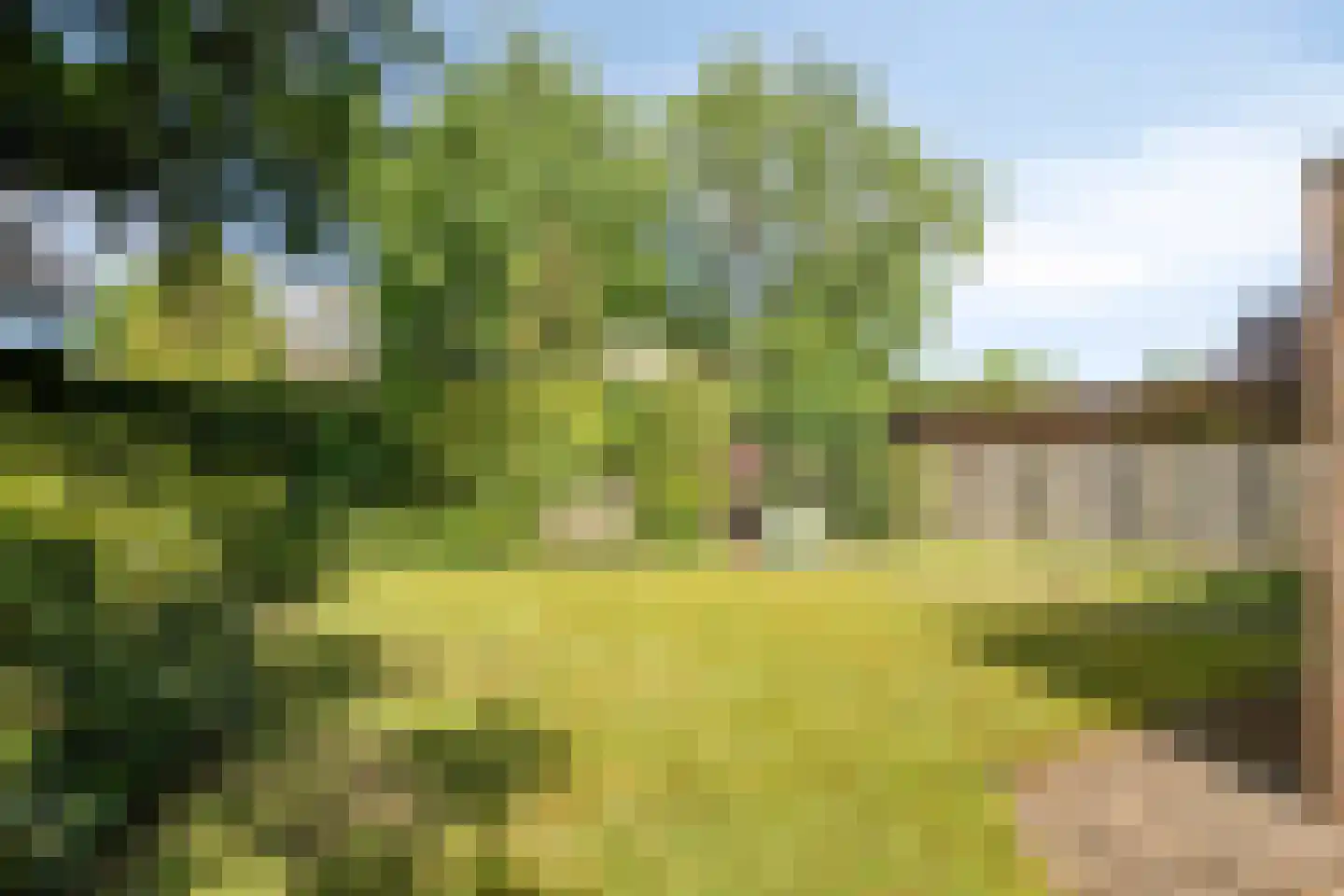 Raadhuisstraat 9 Geffen thumbnail 41