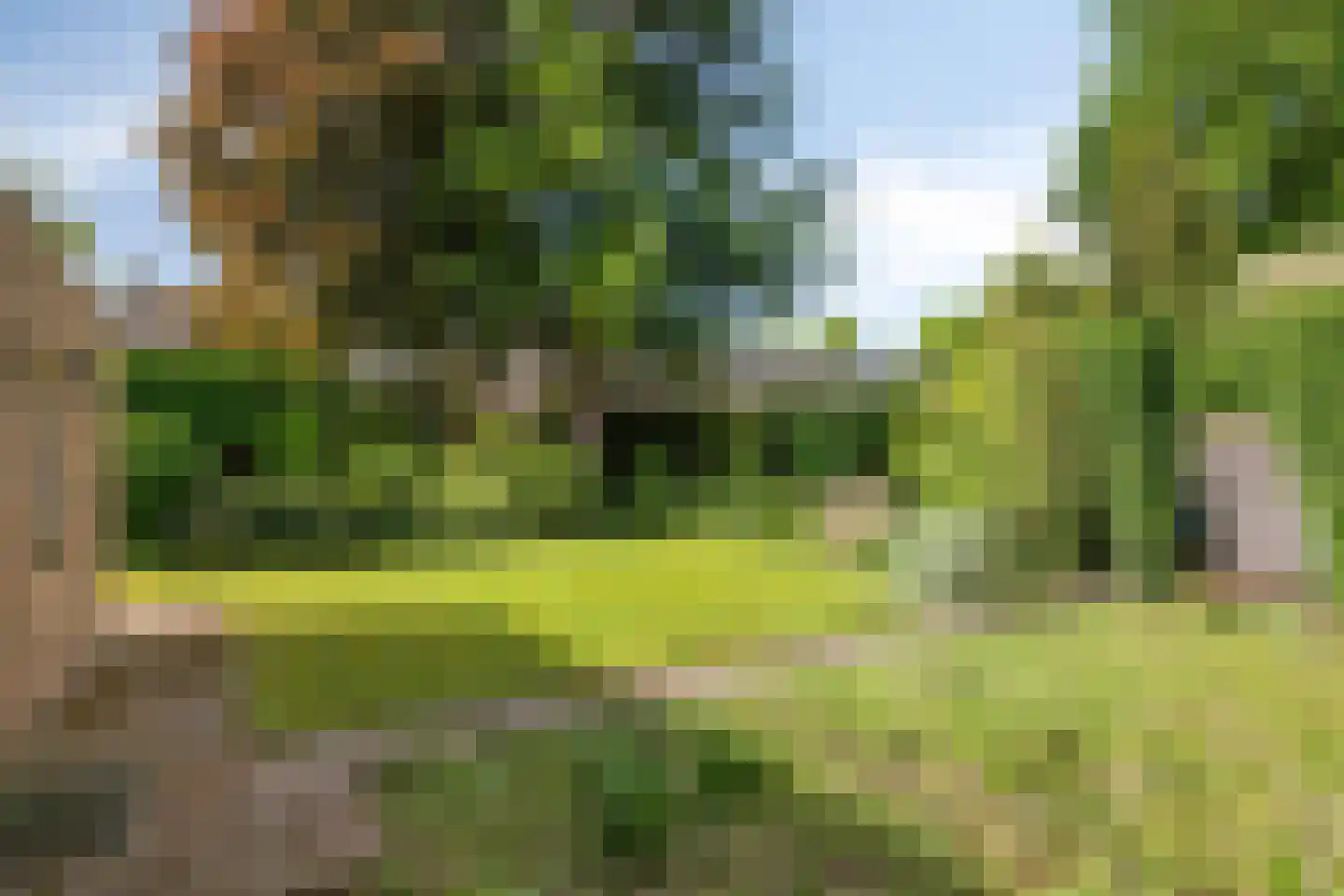 Raadhuisstraat 9 Geffen thumbnail 42