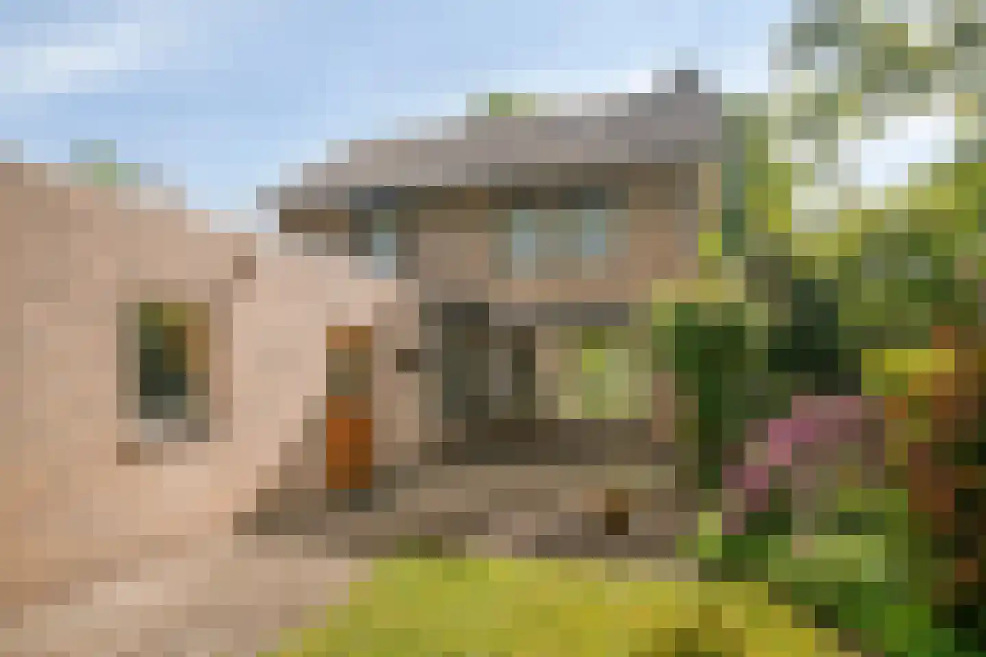 Raadhuisstraat 9 Geffen thumbnail 46