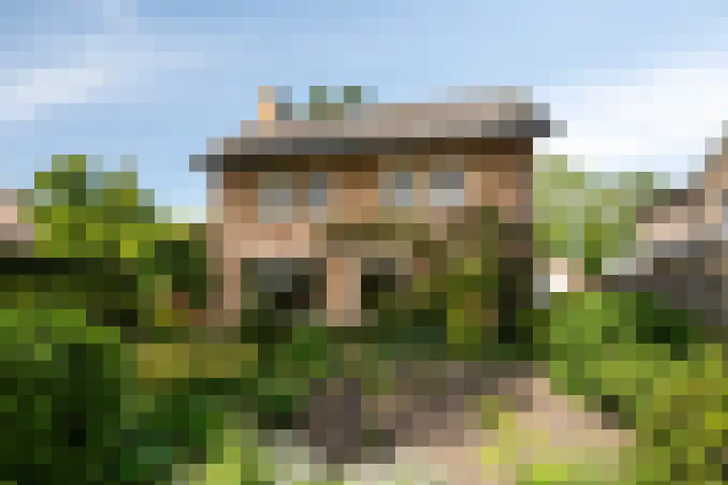 Raadhuisstraat 9 Geffen thumbnail 5