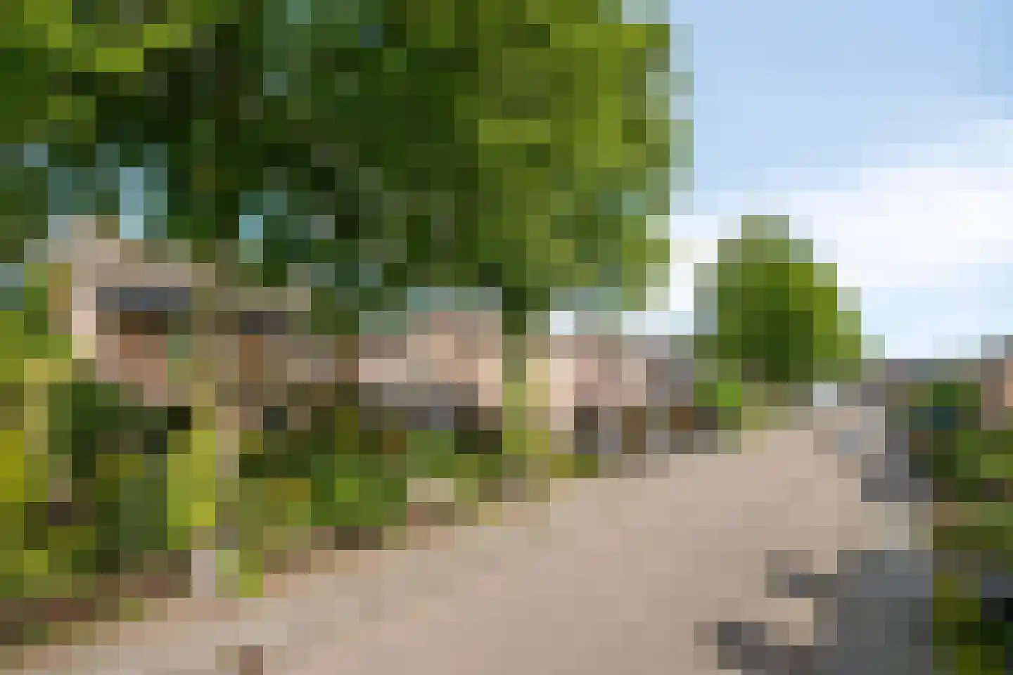Raadhuisstraat 9 Geffen thumbnail 52