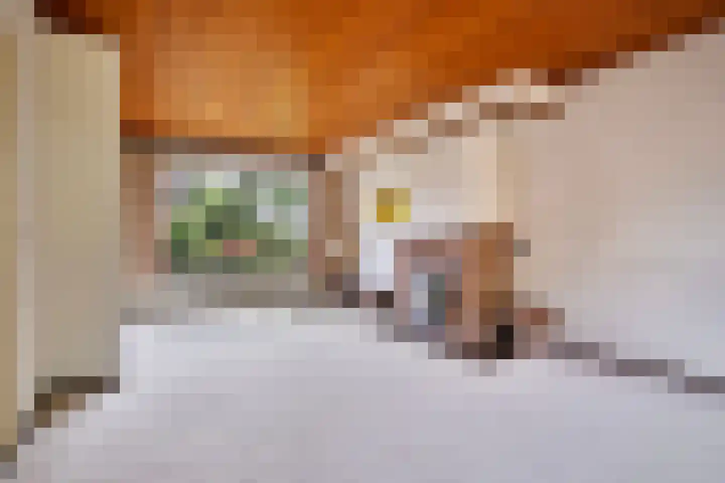 Raadhuisstraat 9 Geffen thumbnail 6