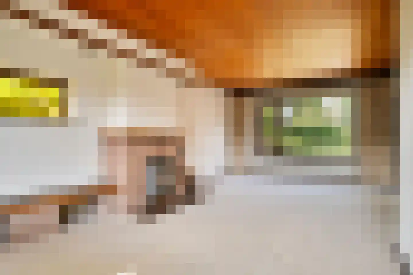 Raadhuisstraat 9 Geffen thumbnail 9