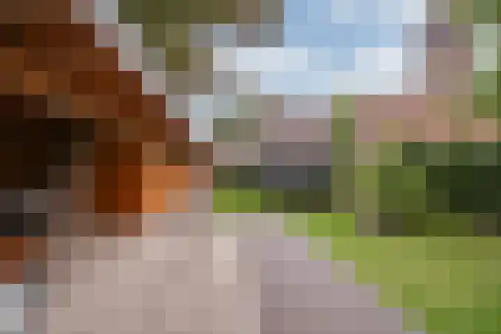 Raadhuisstraat 9 Roermond thumbnail 26