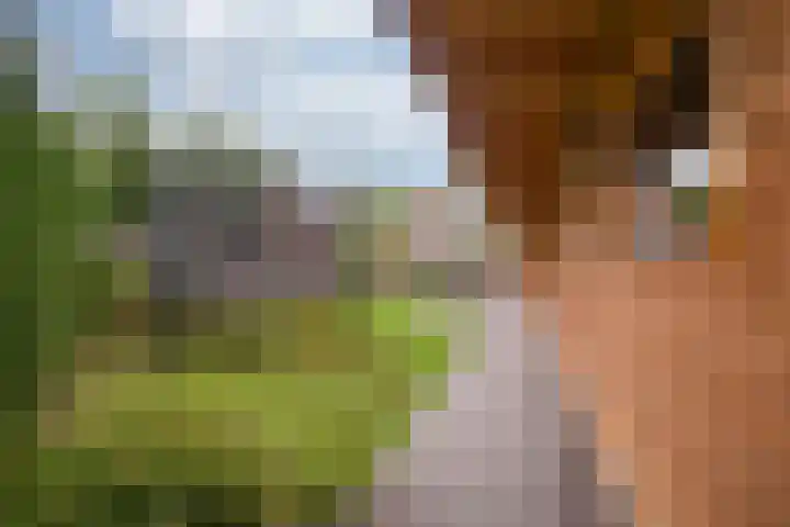 Raadhuisstraat 9 Roermond thumbnail 28