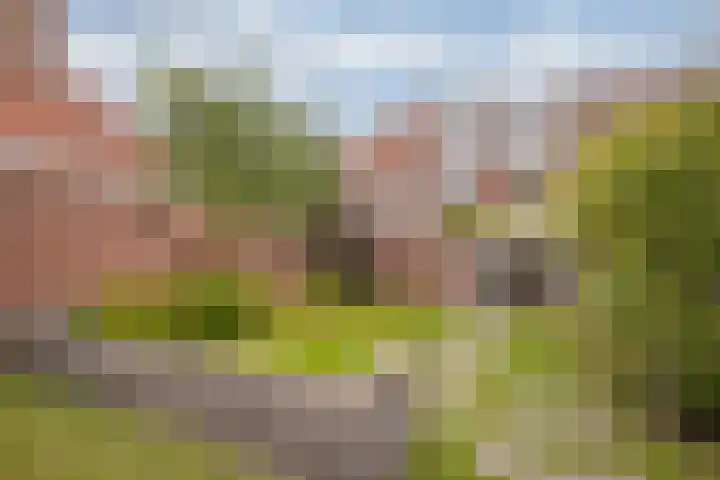 Raadhuisstraat 9 Roermond thumbnail 31