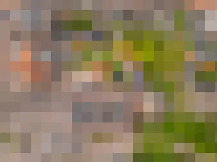 Raadhuisstraat 9 Roermond thumbnail 37