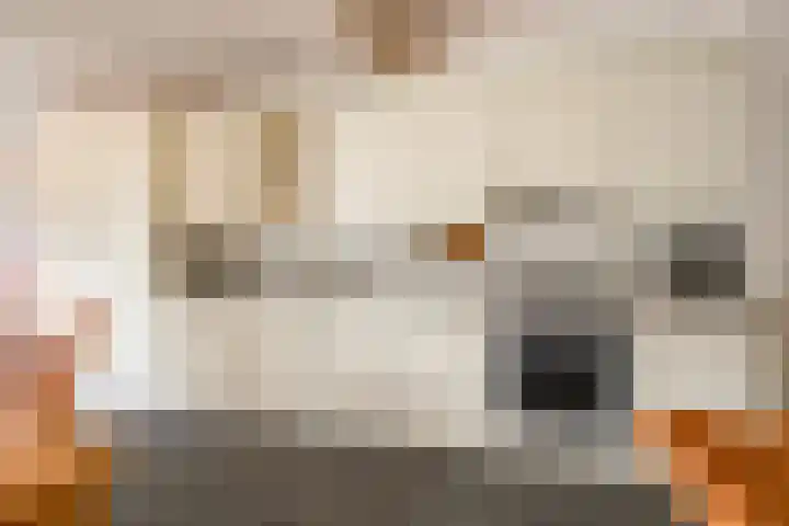 Raadhuisstraat 9 Roermond thumbnail 9