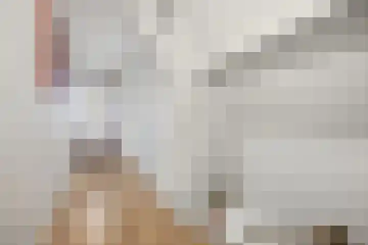 Raadhuisstraat 9 Waspik thumbnail 12