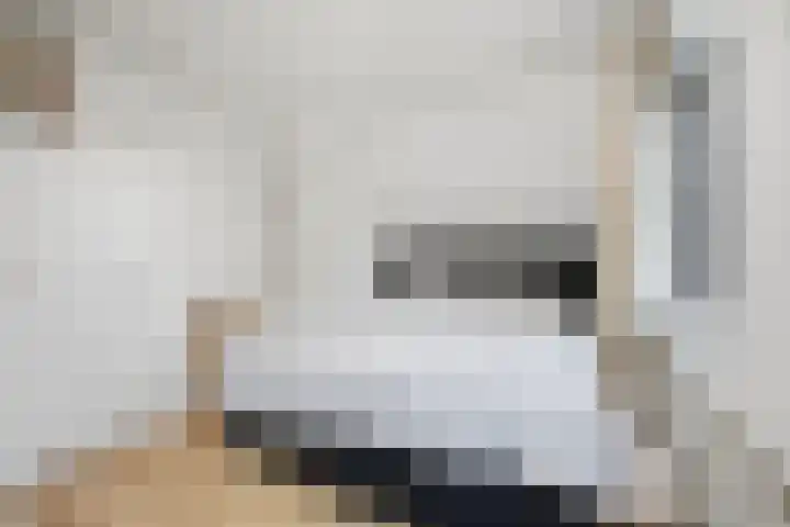 Raadhuisstraat 9 Waspik thumbnail 14