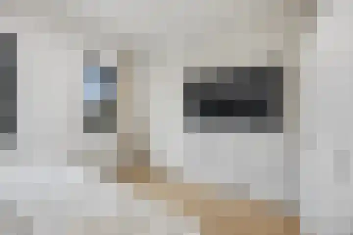 Raadhuisstraat 9 Waspik thumbnail 16