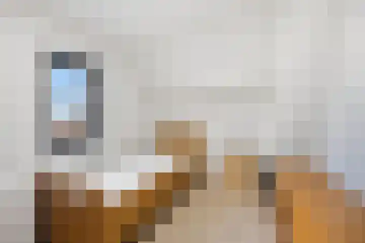 Raadhuisstraat 9 Waspik thumbnail 18