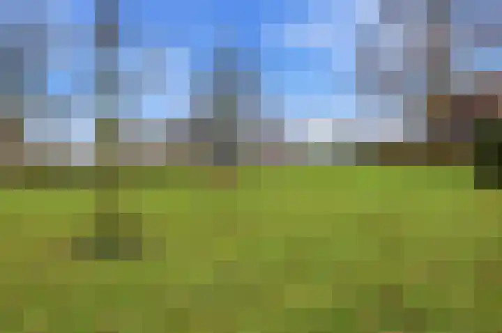 Raadhuisstraat 9 Waspik thumbnail 22