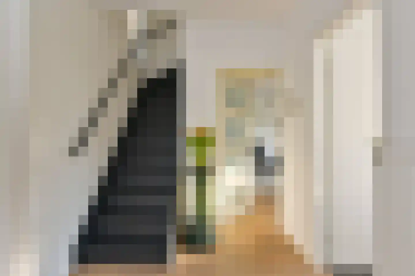 Raadhuisstraat 9 Wijdenes thumbnail 11