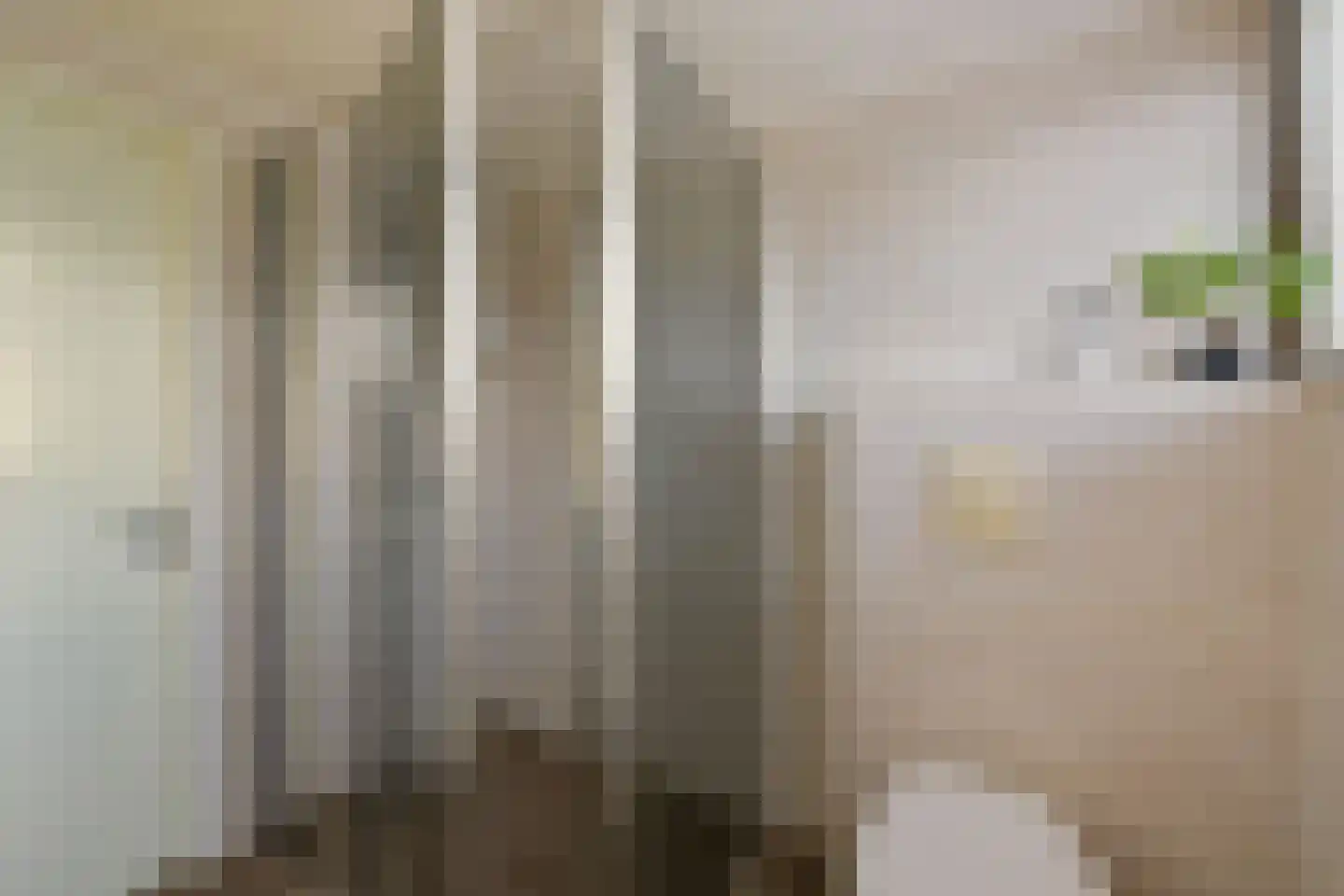 Raadhuisstraat 9 Wijdenes thumbnail 20