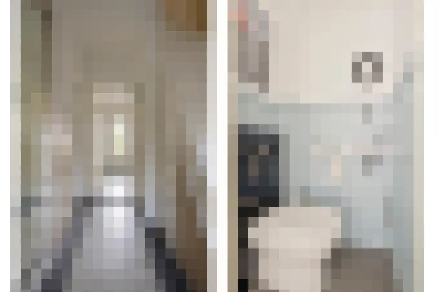 Raadhuisstraat 91 Waalre thumbnail 11
