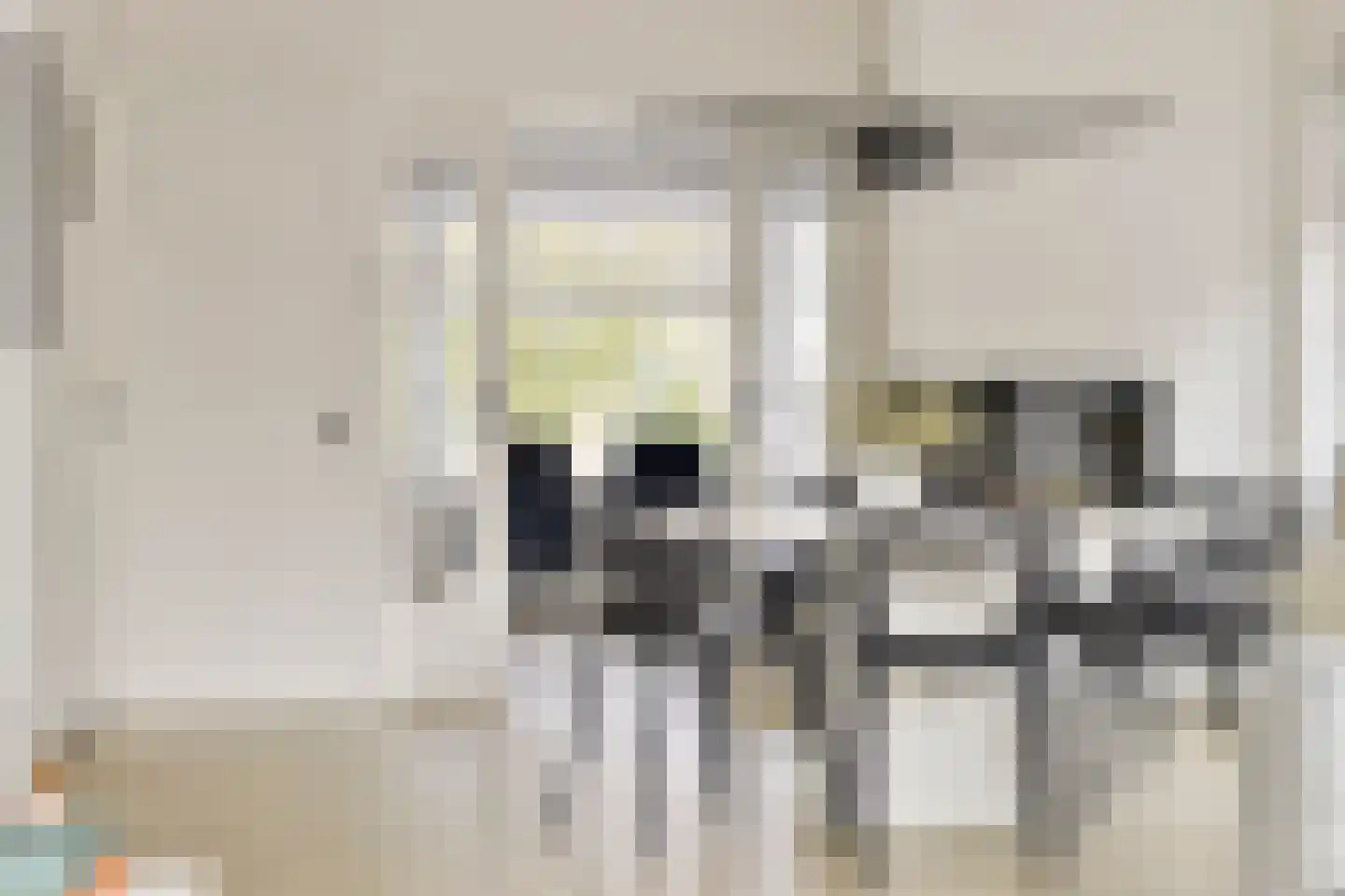 Raadhuisstraat 91 Waalre thumbnail 13