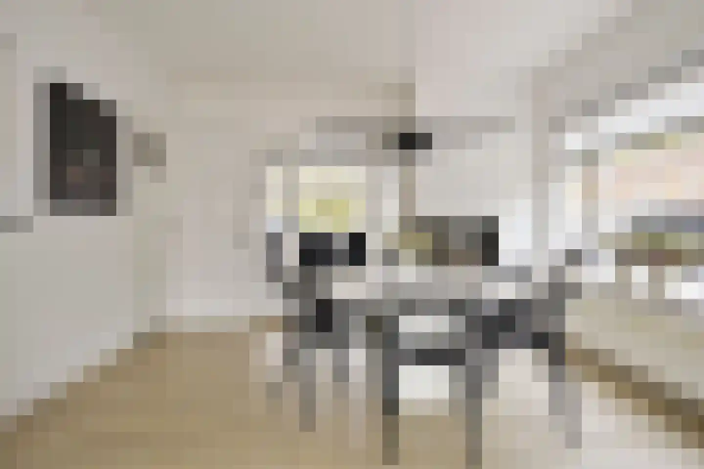 Raadhuisstraat 91 Waalre thumbnail 18