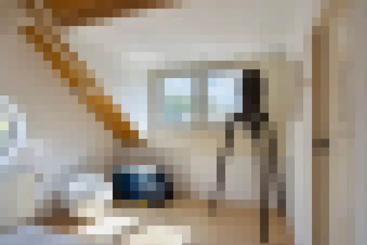 Raadhuisstraat 91 Waalre thumbnail 36