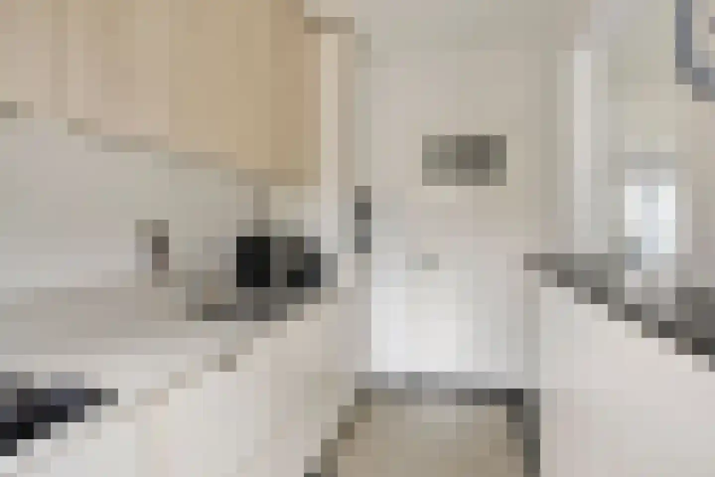 Raadhuisstraat 91 Waalre thumbnail 4