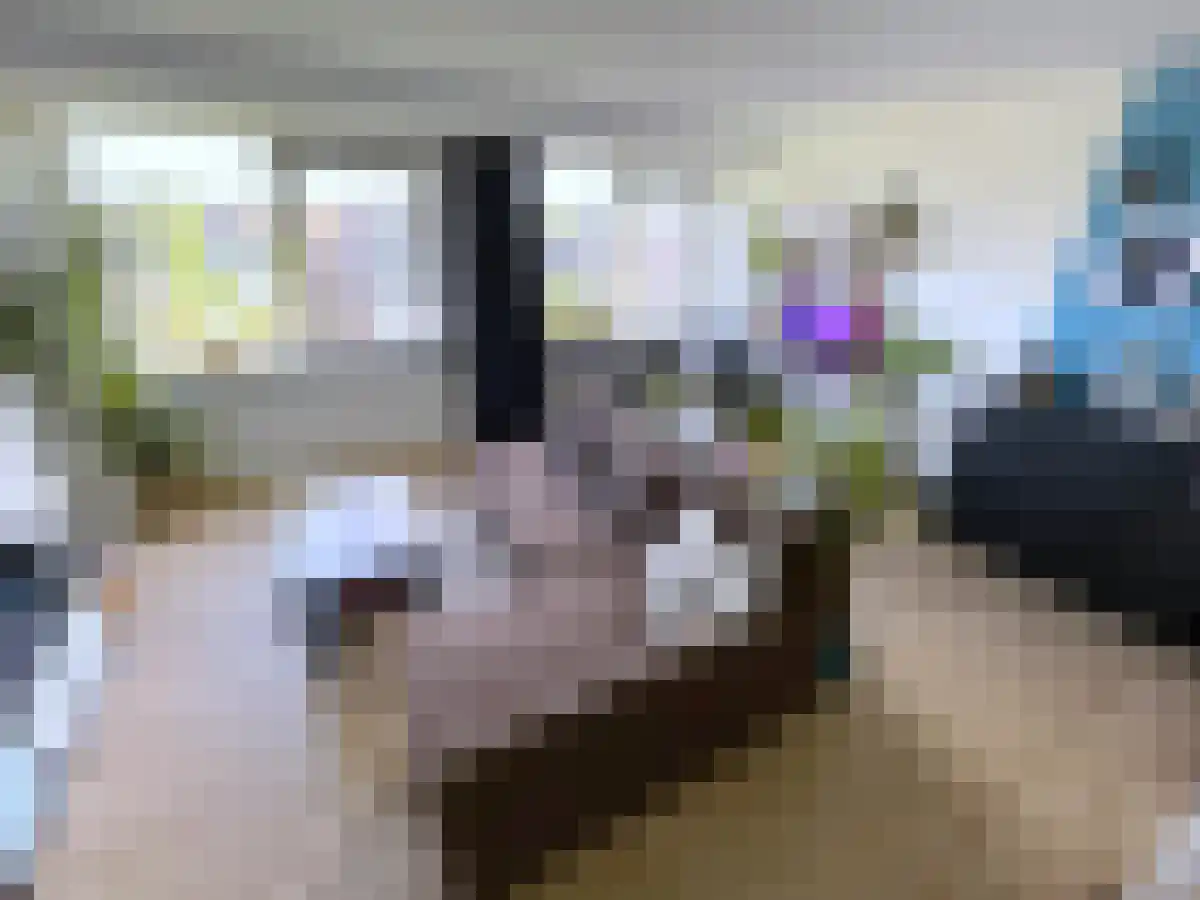 Raadhuisstraat 92 Alphen aan den Rijn thumbnail 4