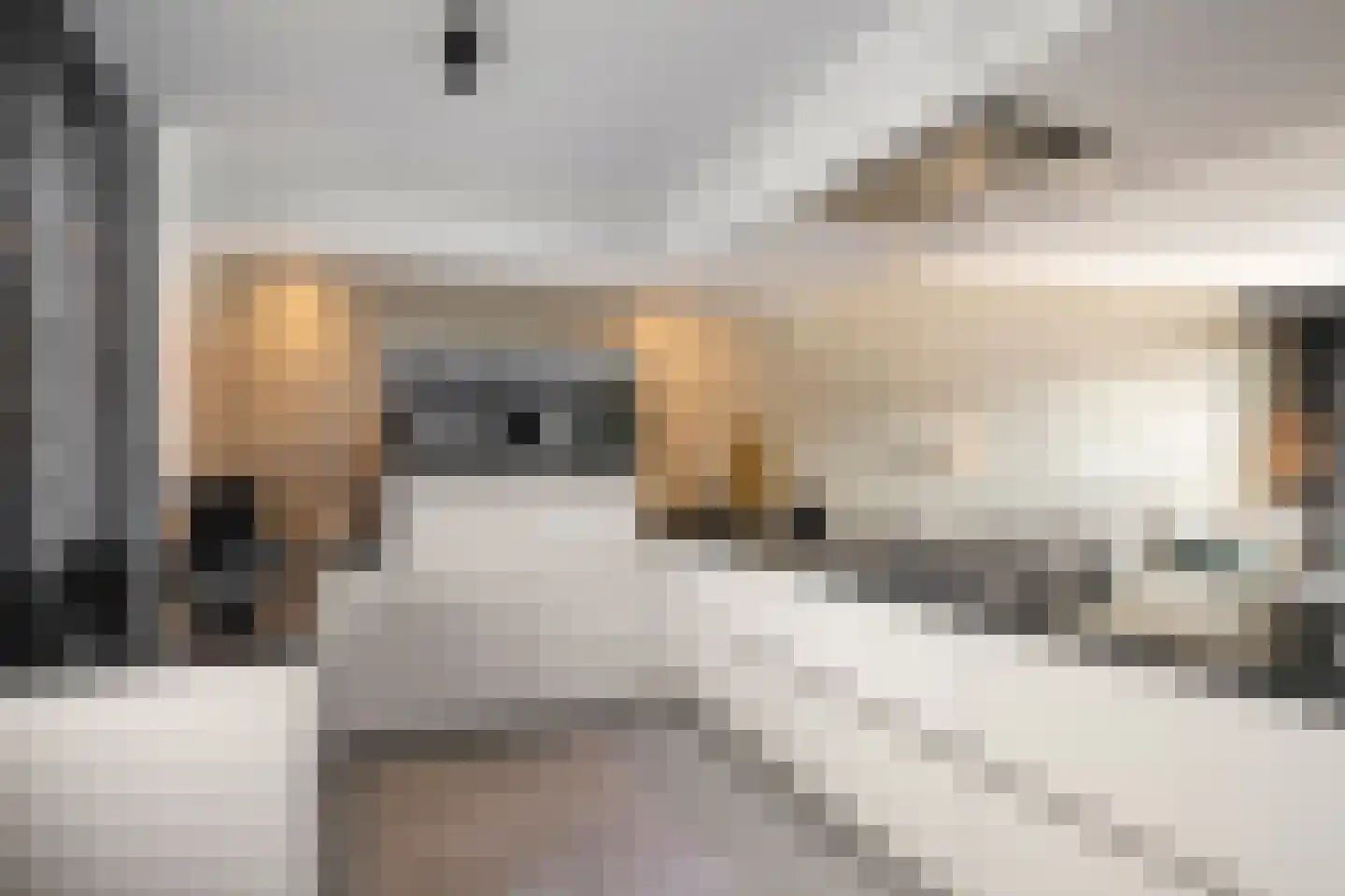 Raadhuisstraat 93 Rosmalen thumbnail 12