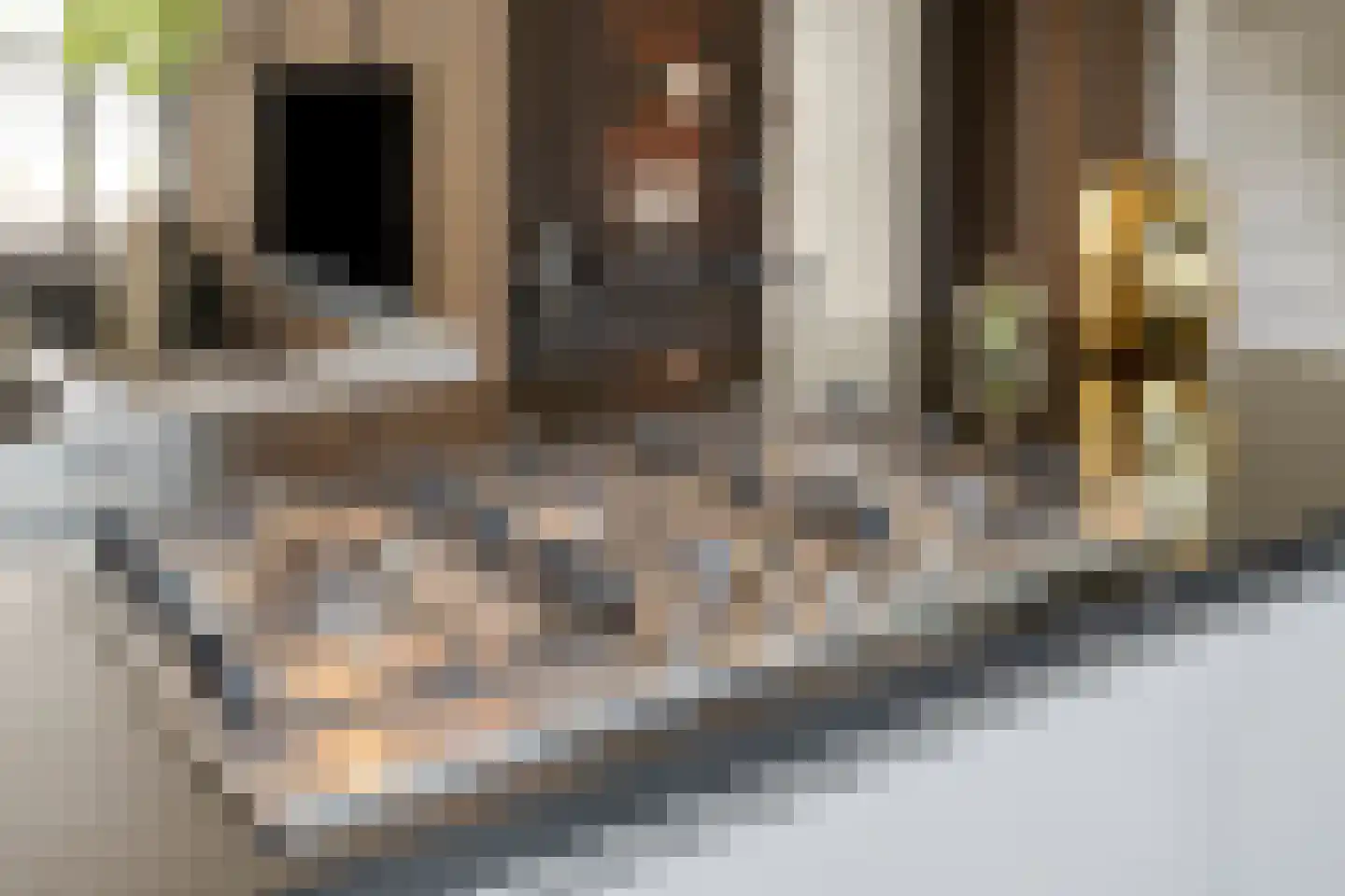 Raadhuisstraat 93 Rosmalen thumbnail 16