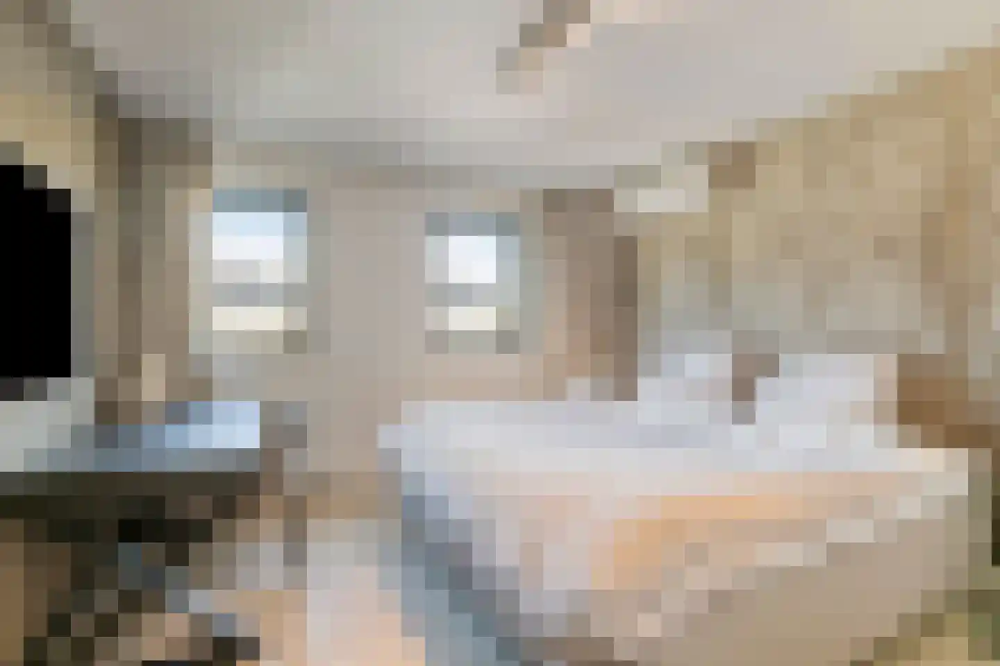 Raadhuisstraat 93 Rosmalen thumbnail 23