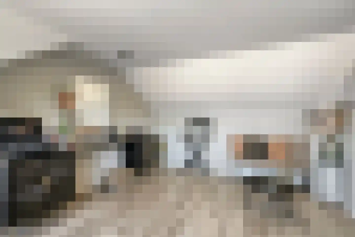 Raadhuisstraat 93 Rosmalen thumbnail 38