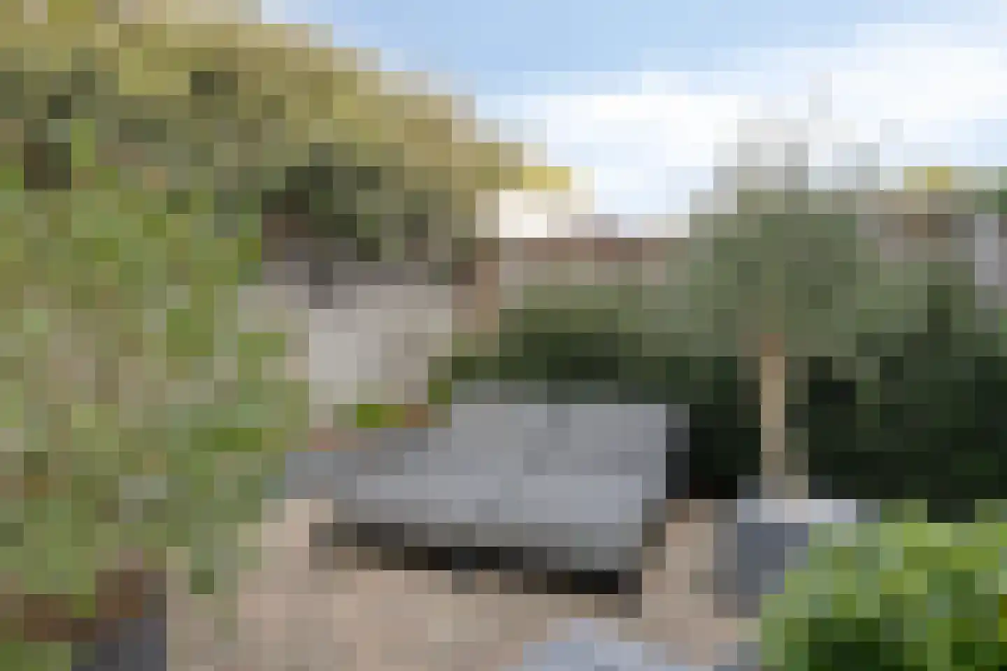 Raadhuisstraat 93 Rosmalen thumbnail 41