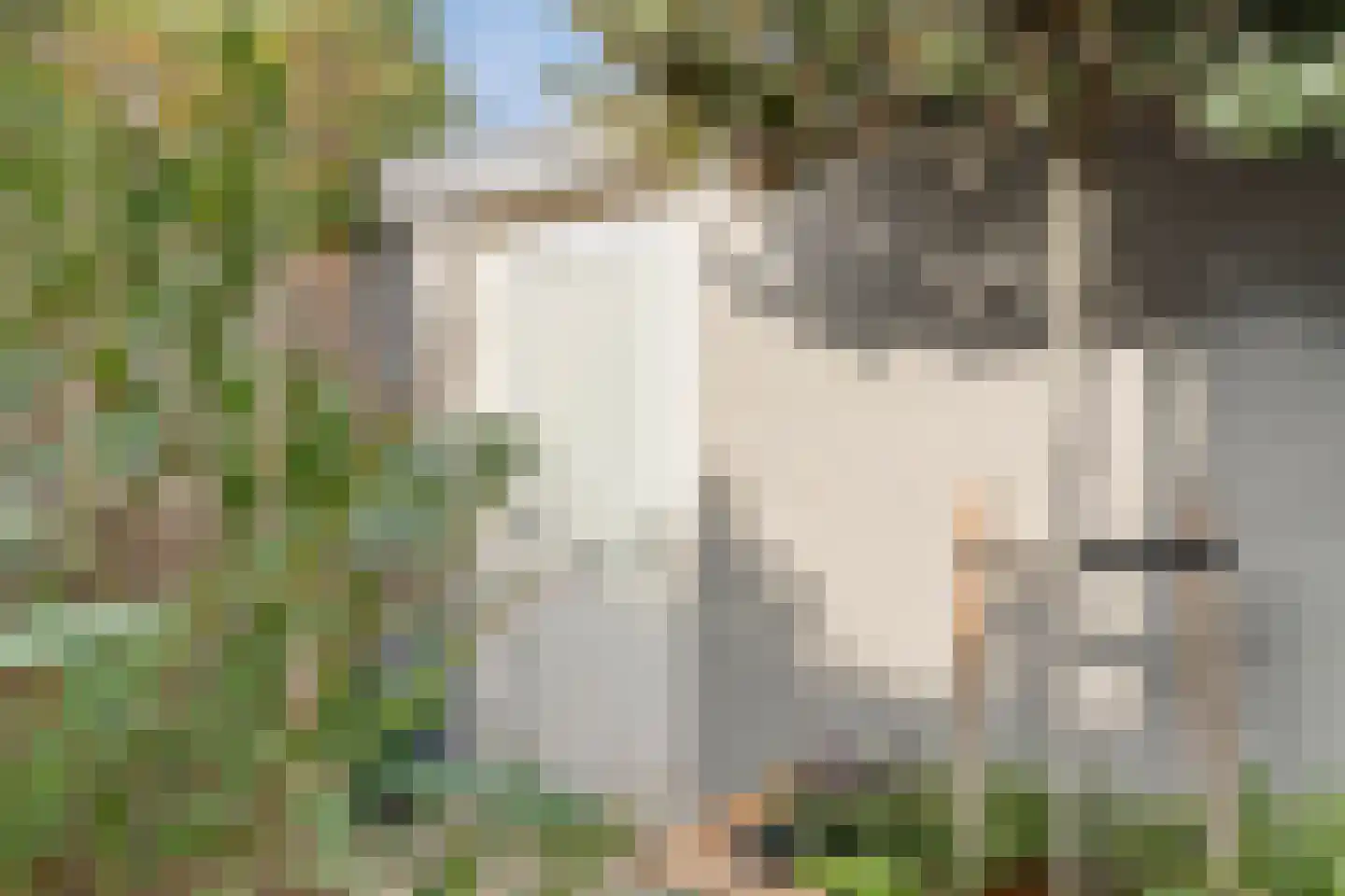Raadhuisstraat 93 Rosmalen thumbnail 44