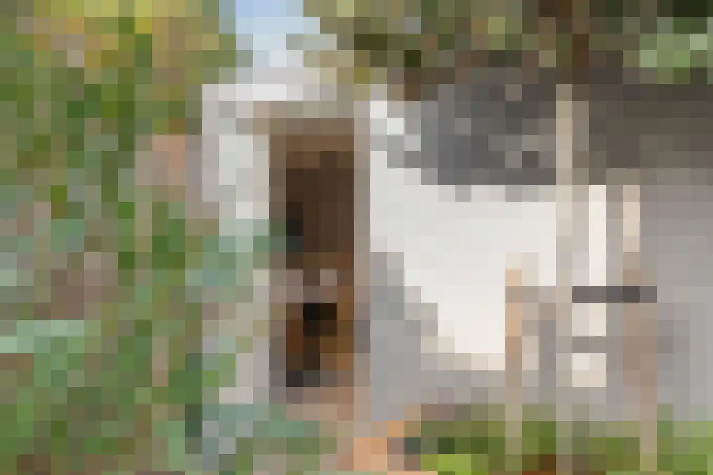 Raadhuisstraat 93 Rosmalen thumbnail 45