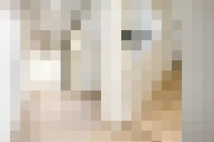 Raadhuisstraat 99 Beverwijk thumbnail 18