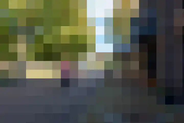 Raadhuisweg 10 Heiloo thumbnail 27