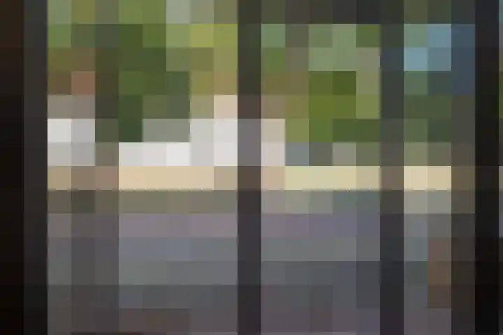 Raadhuisweg 10 Heiloo thumbnail 4