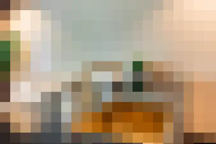 Raadhuisweg 10 Heiloo thumbnail 7
