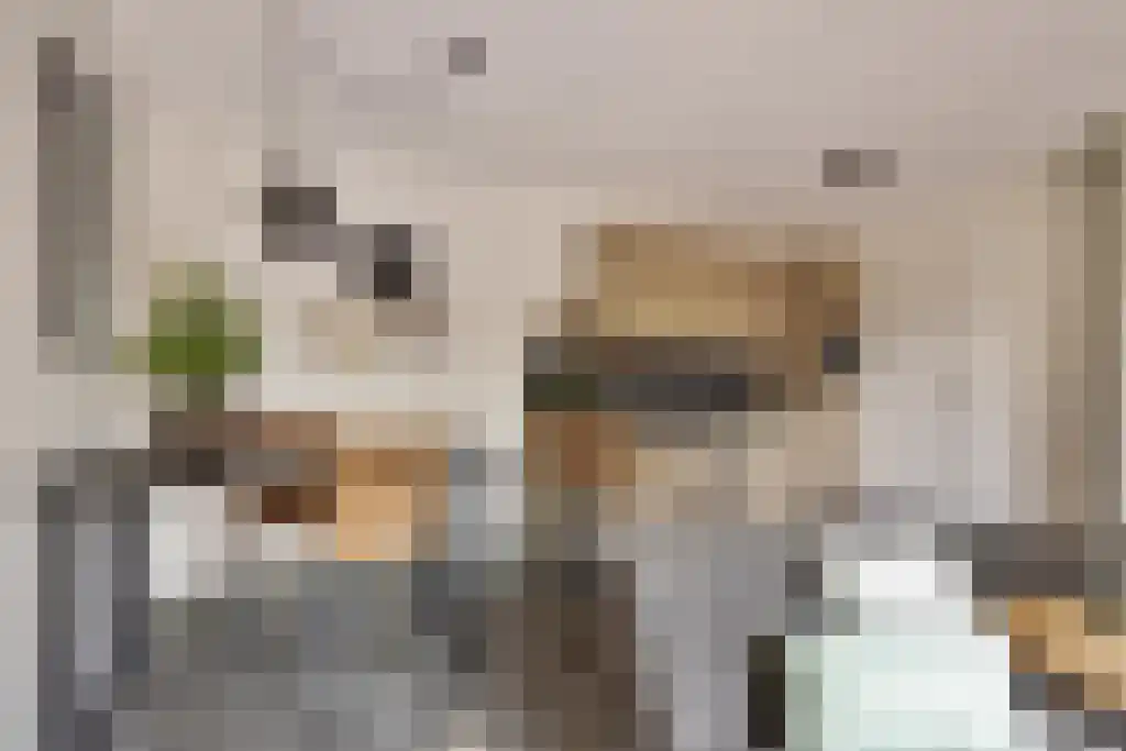 Raadhuisweg 11 a Heiloo thumbnail 22