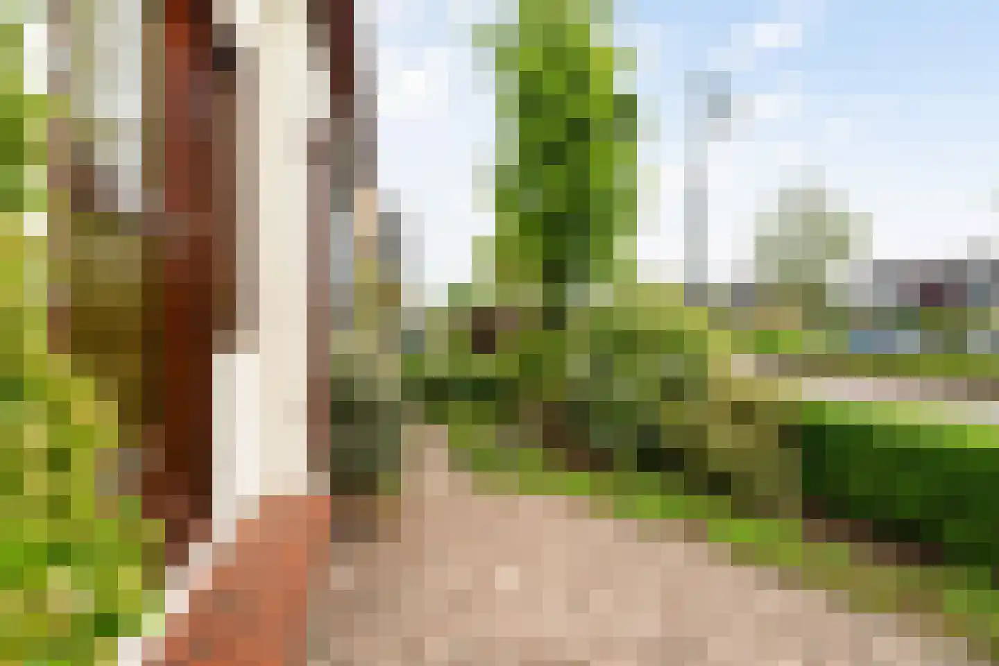 Raadhuisweg 113 Reeuwijk thumbnail 10