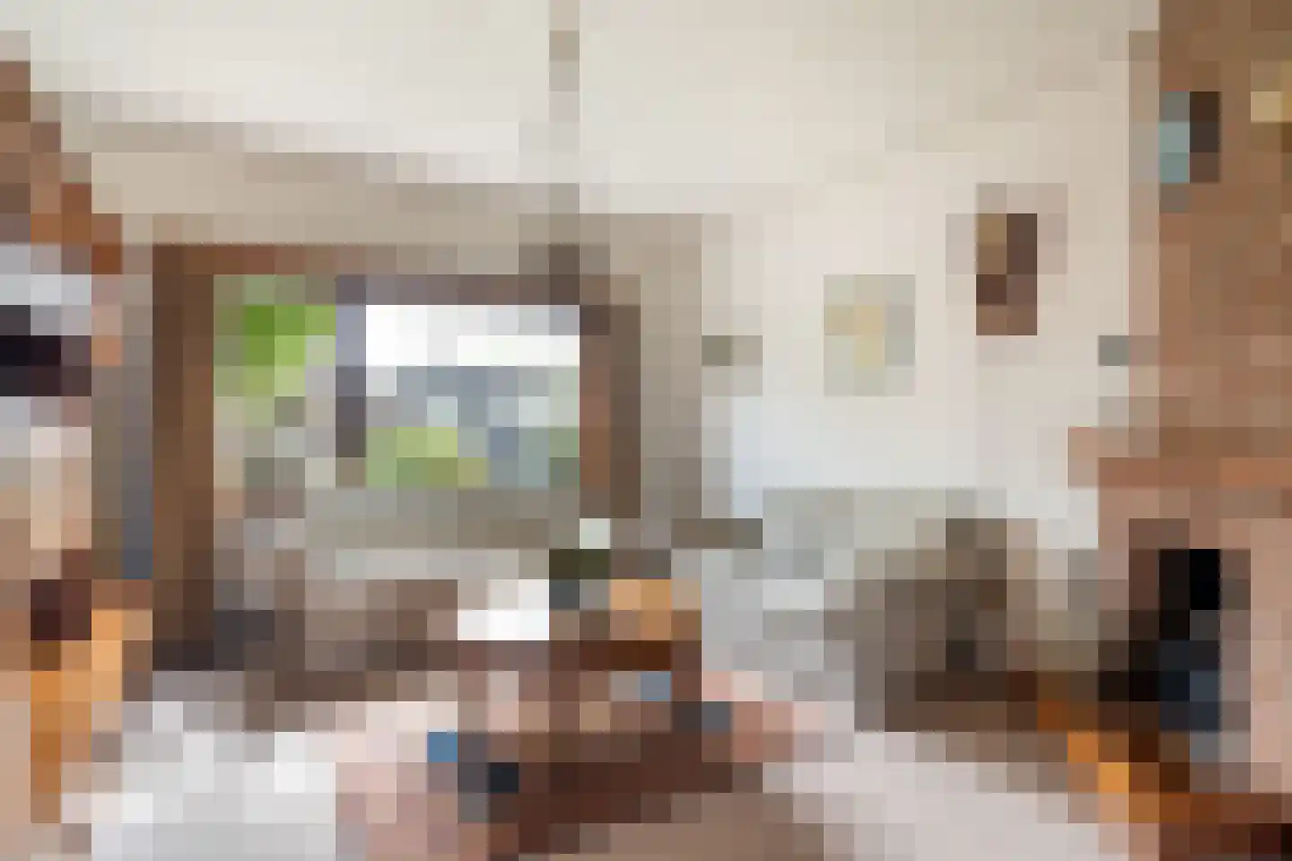 Raadhuisweg 113 Reeuwijk thumbnail 13