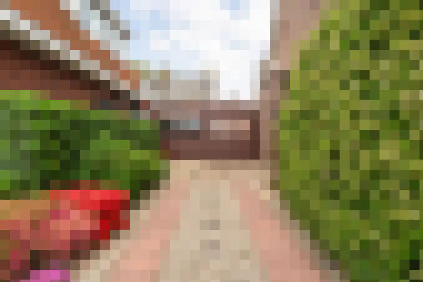 Raadhuisweg 113 Reeuwijk thumbnail 31