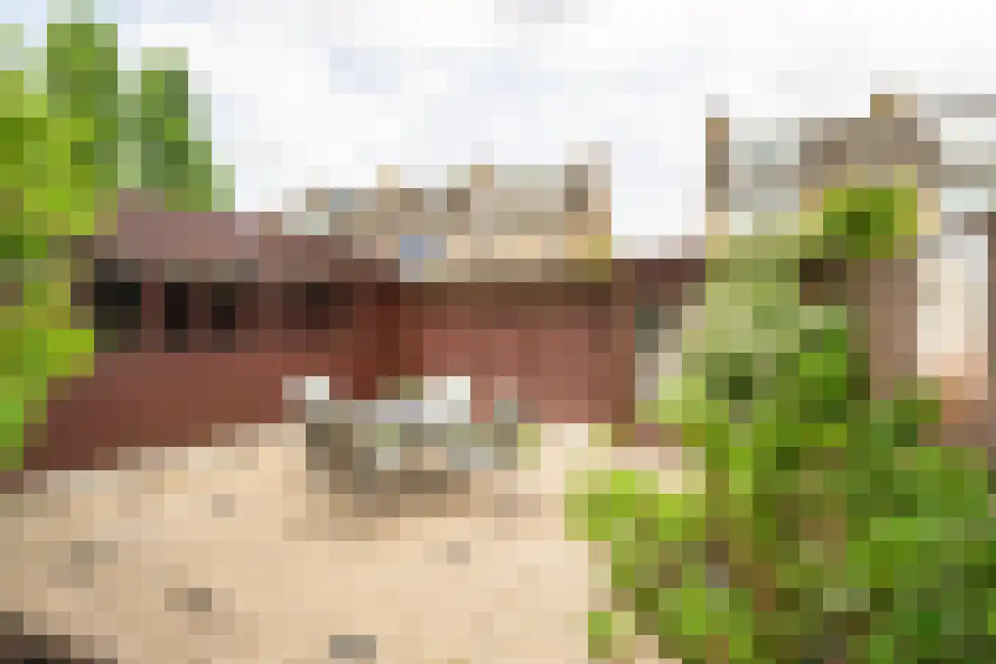 Raadhuisweg 113 Reeuwijk thumbnail 33